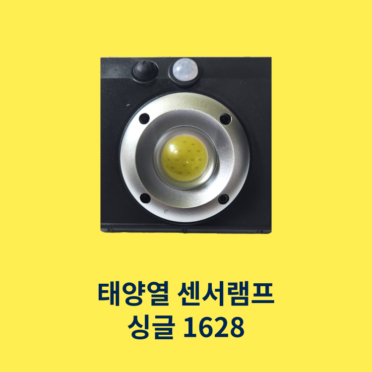 싱글1628.png